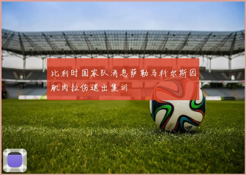比利时国家队消息萨勒马科尔斯因肌肉拉伤退出集训