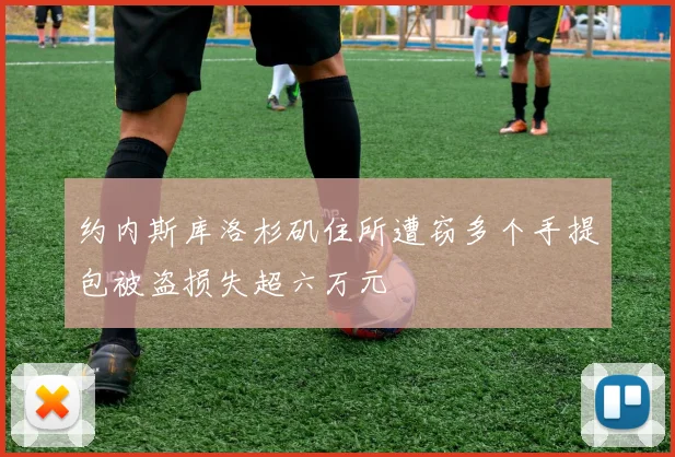 约内斯库洛杉矶住所遭窃多个手提包被盗损失超六万元