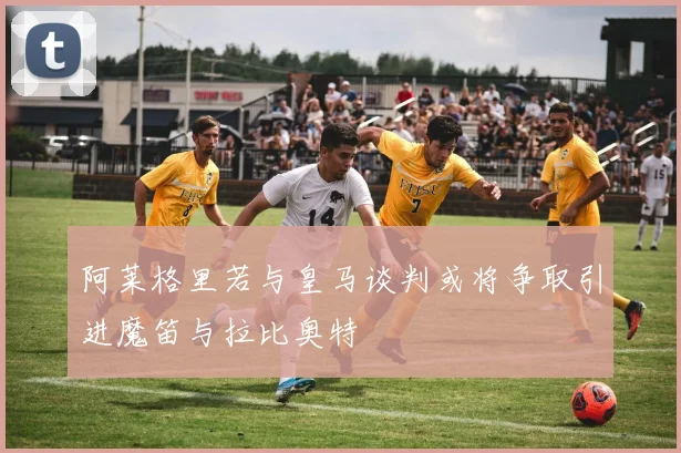 阿莱格里若与皇马谈判或将争取引进魔笛与拉比奥特