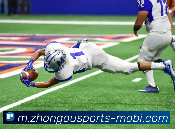 中欧体育平台生态图